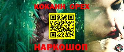 гашик Донецк