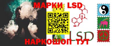 гашик Донецк