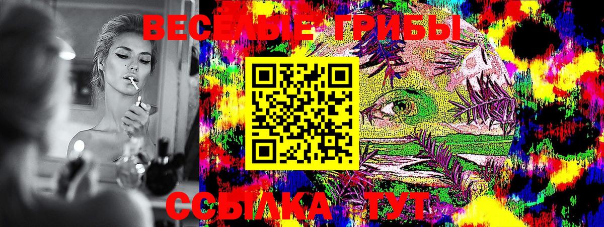 Псилоцибиновые грибы мухоморы  Псилоцибиновые грибы GOLDEN TEACHER  где найти наркотики  Вход с VPN  Зеленокумск 