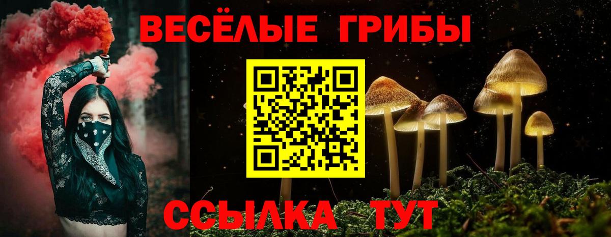 Галлюциногенные грибы прущие грибы Зеленокумск